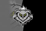 premade owl logo Owl mascot logo for sale