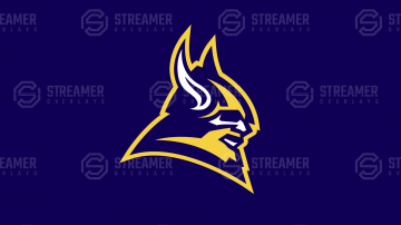Premade Viking Logo esports