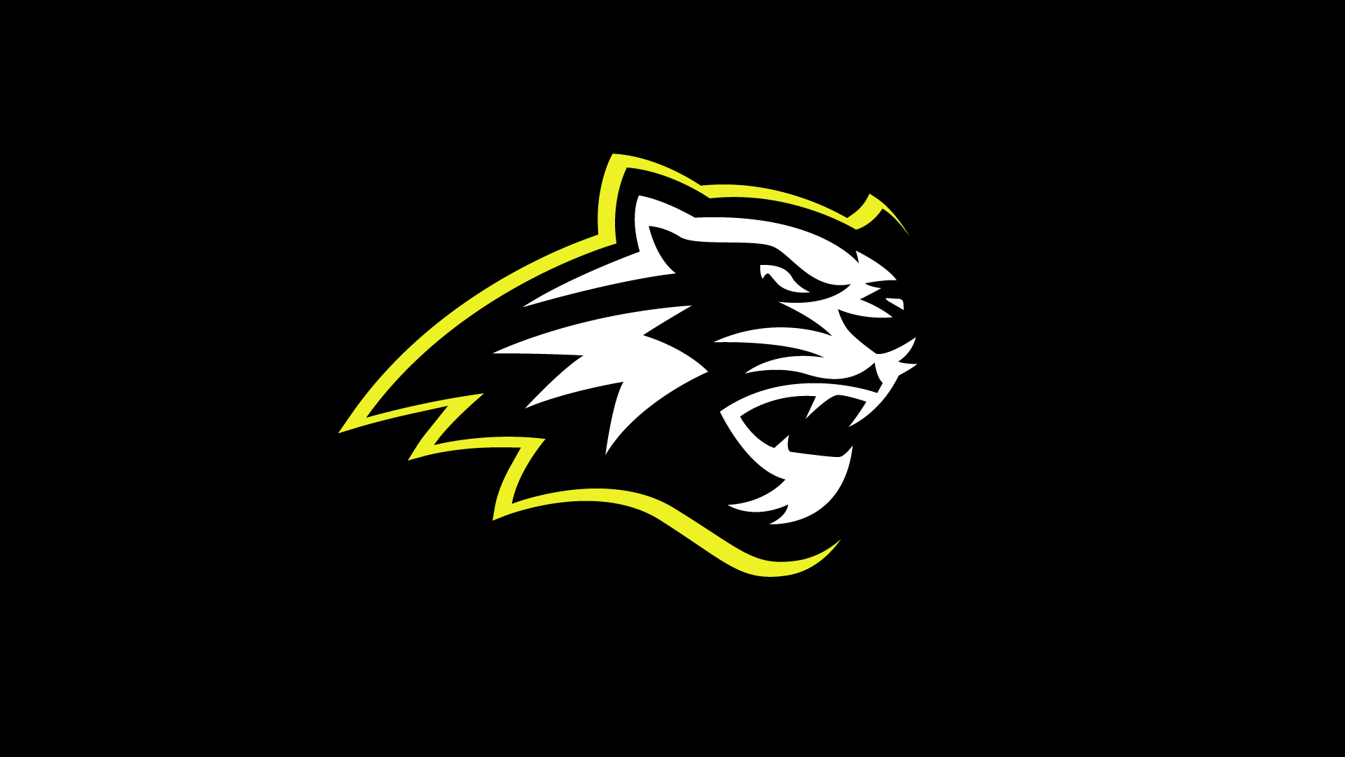 Panther esports logo